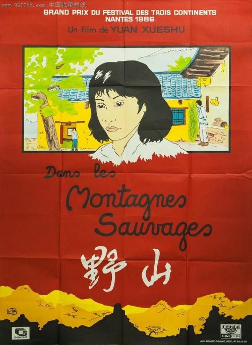 办假的韩国护照电子版